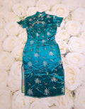 Turquoise Theme Party Dress